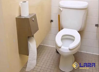 Buy dry flush toilet types + price