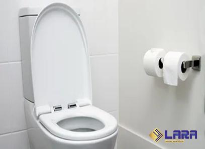 Buy the best types of dutch toilet at a cheap price